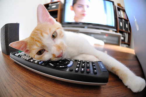 足球的魅力在于它的不可预测性